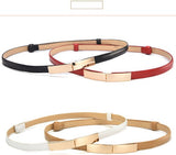 Jurkriem bruin - Riem voor jurk - Tailleriem - Luxe Tailleriem - Ceintuur - Goud Kleurig - Riem voor Om De Taille/Middel - Omslag Riem - Dames Jurk Accessoire - Damesriem